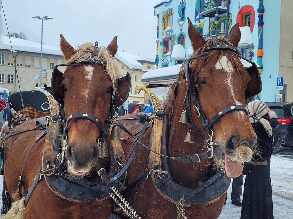 20260220_172623000_iOS 3.jpg