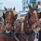 20260220_172623000_iOS 3.jpg