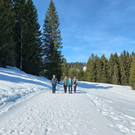 20260226_125450.jpg