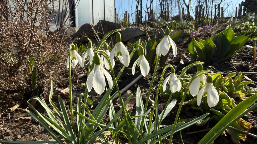 20260303_130129000_iOS 1.jpg