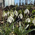 20260303_130129000_iOS 1.jpg