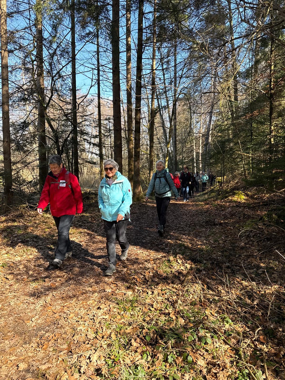 20260303_130130000_iOS 1.jpg