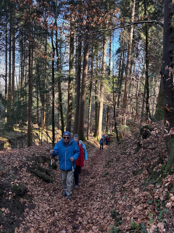 20260303_130130000_iOS 2.jpg