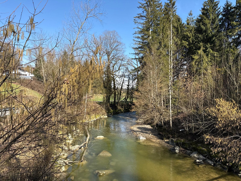 20260303_130132000_iOS 2.jpg