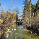 20260303_130132000_iOS 2.jpg