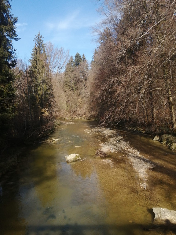 20260303_131436000_iOS 1.jpg