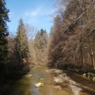 20260303_131436000_iOS 1.jpg