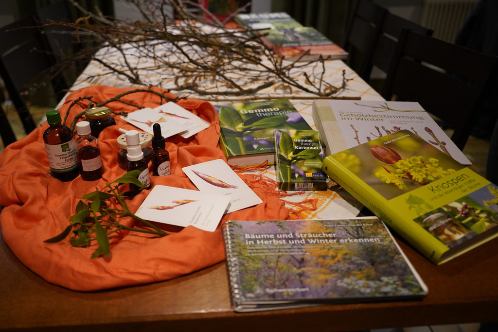 Gemmotherapie_JHV-OGV Frastanz _12_ _1_.JPG