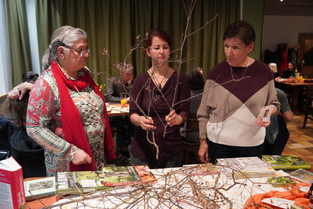 JHV-OGV Frastanz _5_.JPG