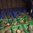 WhatsApp Image 2025-10-16 at 19_22_17.jpeg