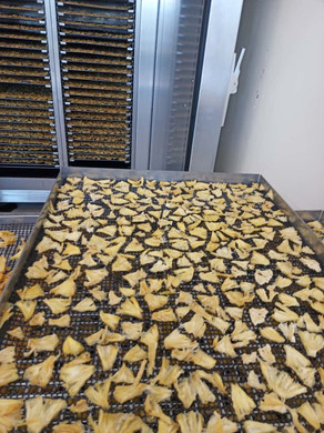 WhatsApp Image 2025-10-21 at 16_03_10.jpeg