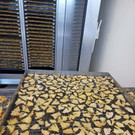 WhatsApp Image 2025-10-21 at 16_03_10.jpeg