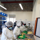 WhatsApp Image 2026-02-19 at 09_29_51.jpeg