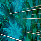 Vienna_at _7 von 49_.JPG