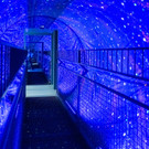 Vienna_at _35 von 49_.JPG