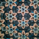 Vienna_at _36 von 49_.JPG