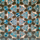 Vienna_at _37 von 49_.JPG