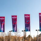 Vienna_at _48 von 54_.JPG