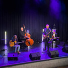 Konzert Harri Stojka 3n.jpg