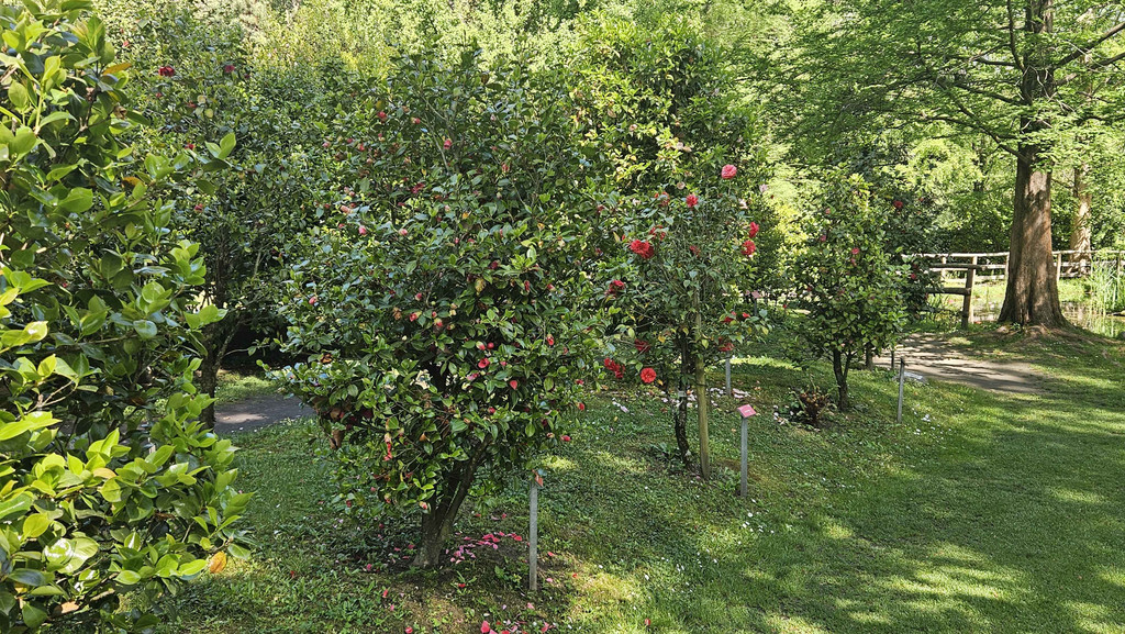 Camelienpark.jpg