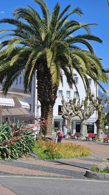 Locarno1.jpg