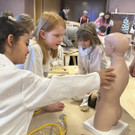 Sp__rnaseneckeJPG _2_ n.jpg