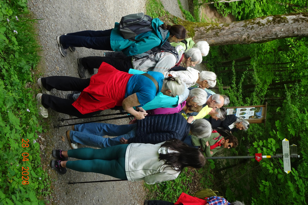DSC05079.JPG