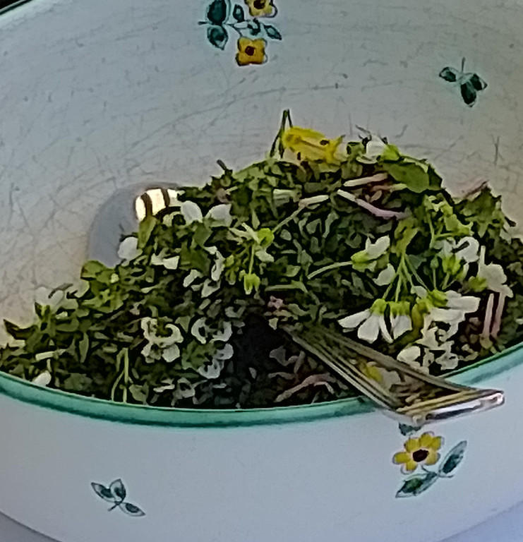 IMG_20260509_153041.jpg