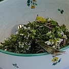 IMG_20260509_153041.jpg