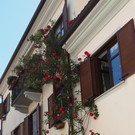 Piemont 17_-20_05 _131_.JPG