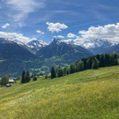IMG_5832.jpg