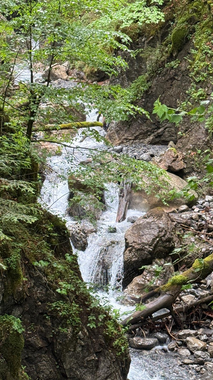 20260602_125045000_iOS.jpg