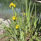 IMG_0494.JPG