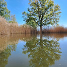 Radbericht 26 _1_.jpg