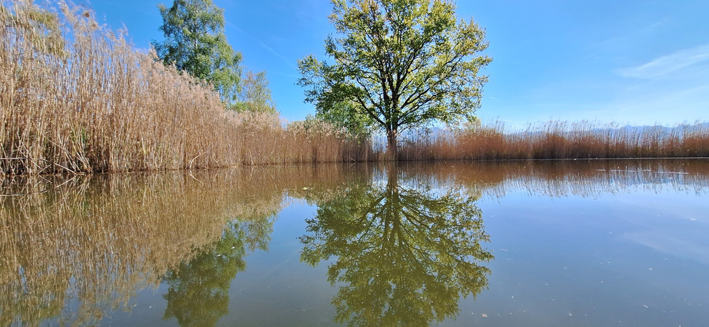 Radbericht 26 _1_.jpg
