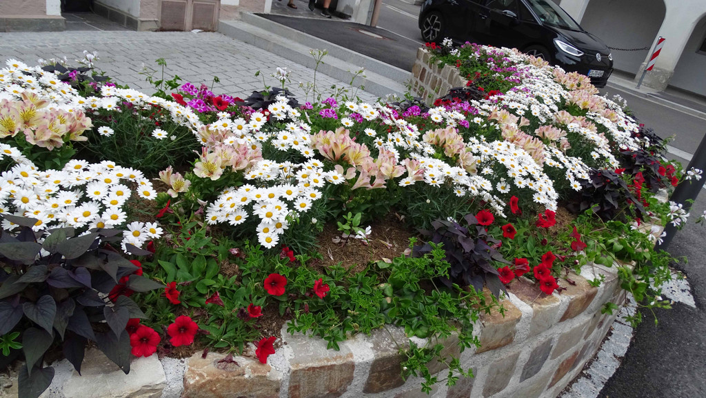 Blumen.jpg