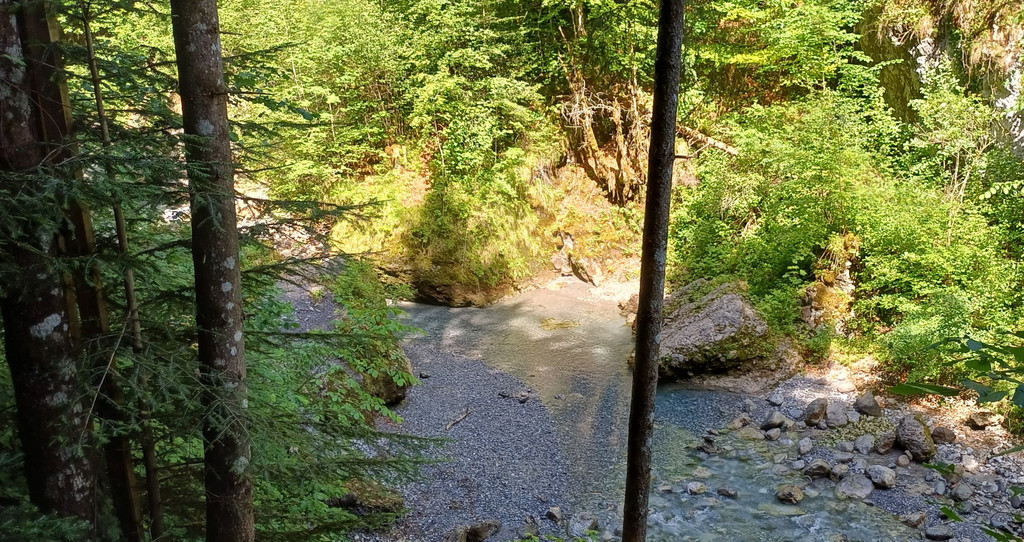 20260620_104601.jpg