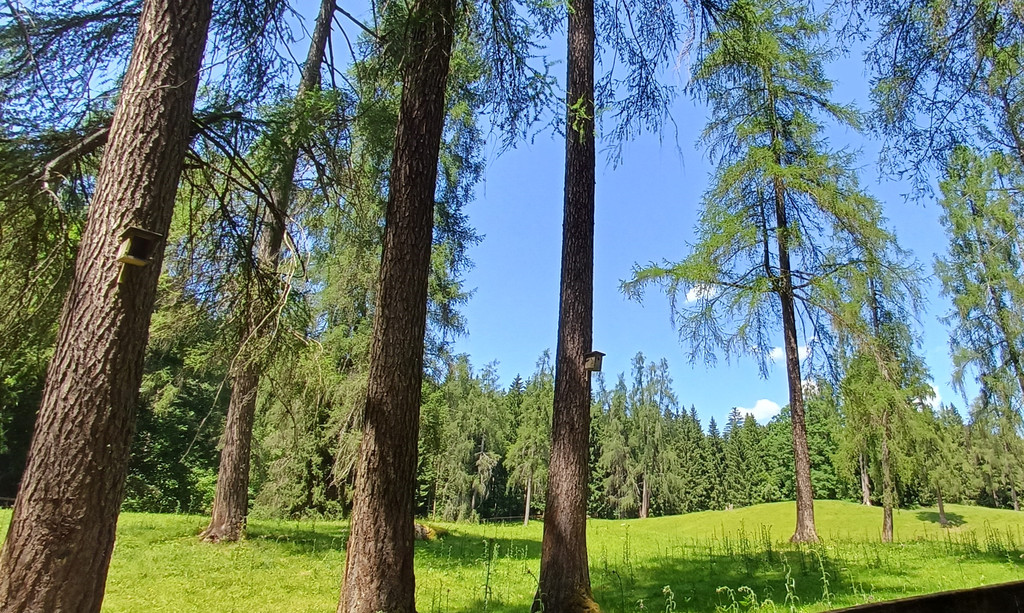 20260620_133030.jpg
