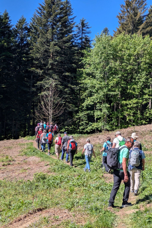 Wanderung 2.jpg