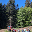 Frühjahrswanderung 