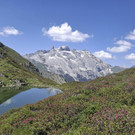 IMG-20260625-WA0019.jpg