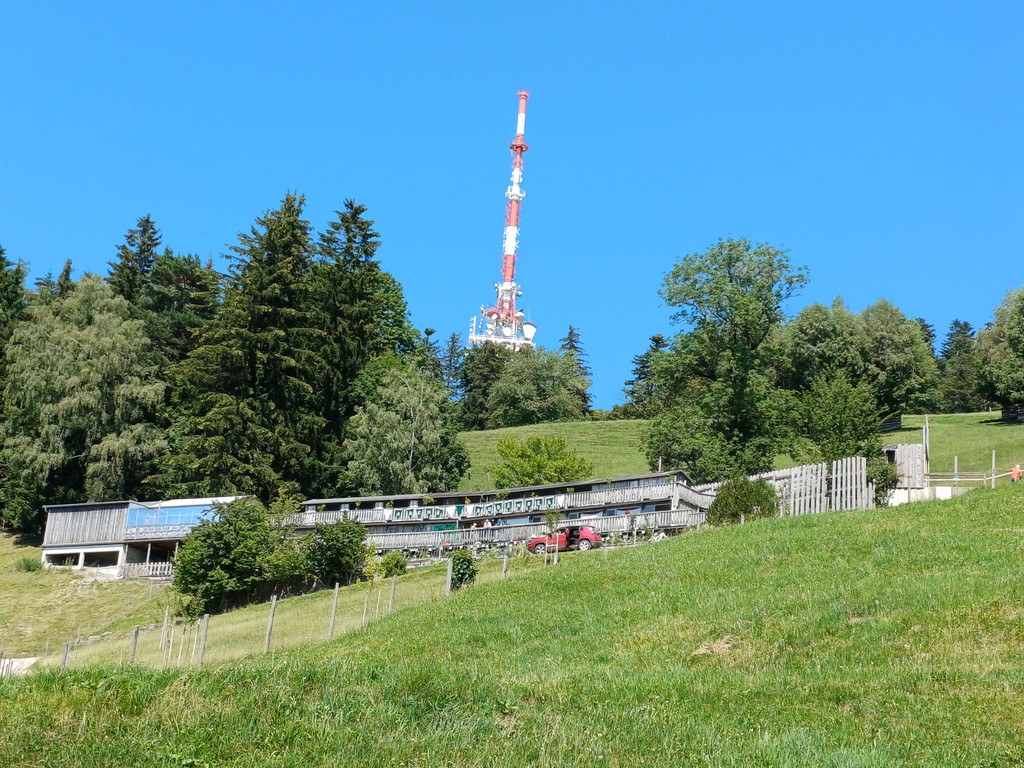 20260625_153311.jpg