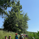 Wanderwoche in der Steiermark