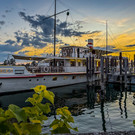 IMG_E4885.jpg