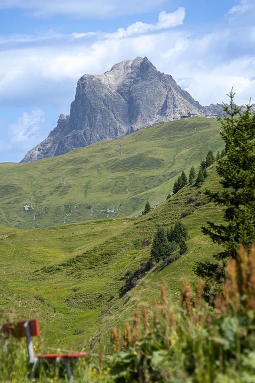 20260711-DSC03479.jpg