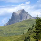 20260711-DSC03479.jpg