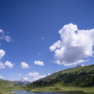 20260711-DSC03557.jpg