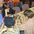 1381657.jpg