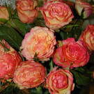 Geburtstagsfeier in der Käferlegruppe  