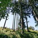 01092009tradbergff_05.jpg